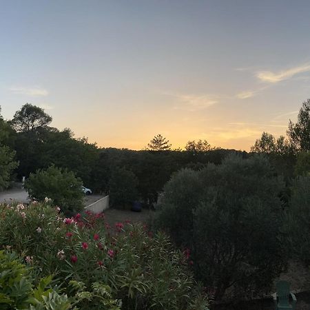 Natur & Jasmin Chambres D'Hotes Naturistes En Provence Lorgues Luaran gambar