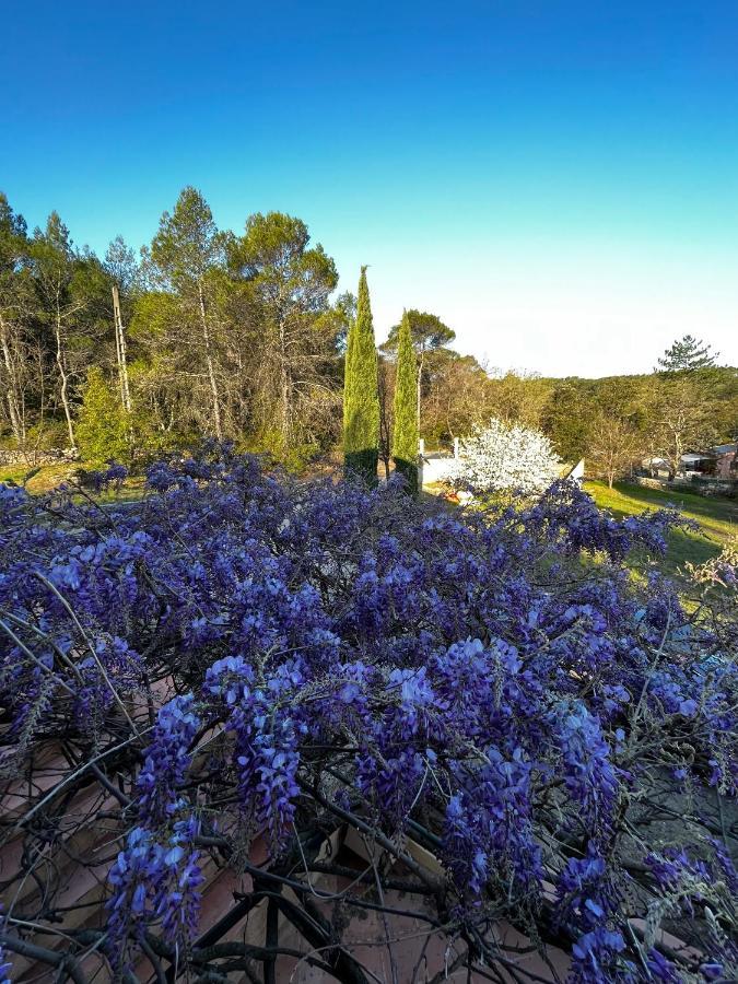 Natur & Jasmin Chambres D'Hotes Naturistes En Provence Lorgues Luaran gambar