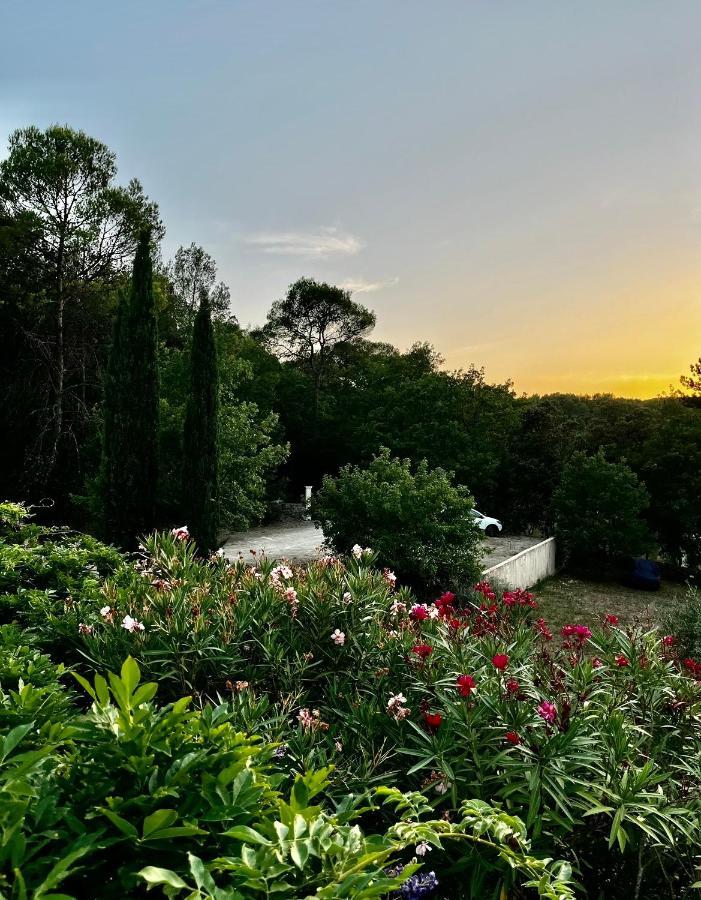 Natur & Jasmin Chambres D'Hotes Naturistes En Provence Lorgues Luaran gambar