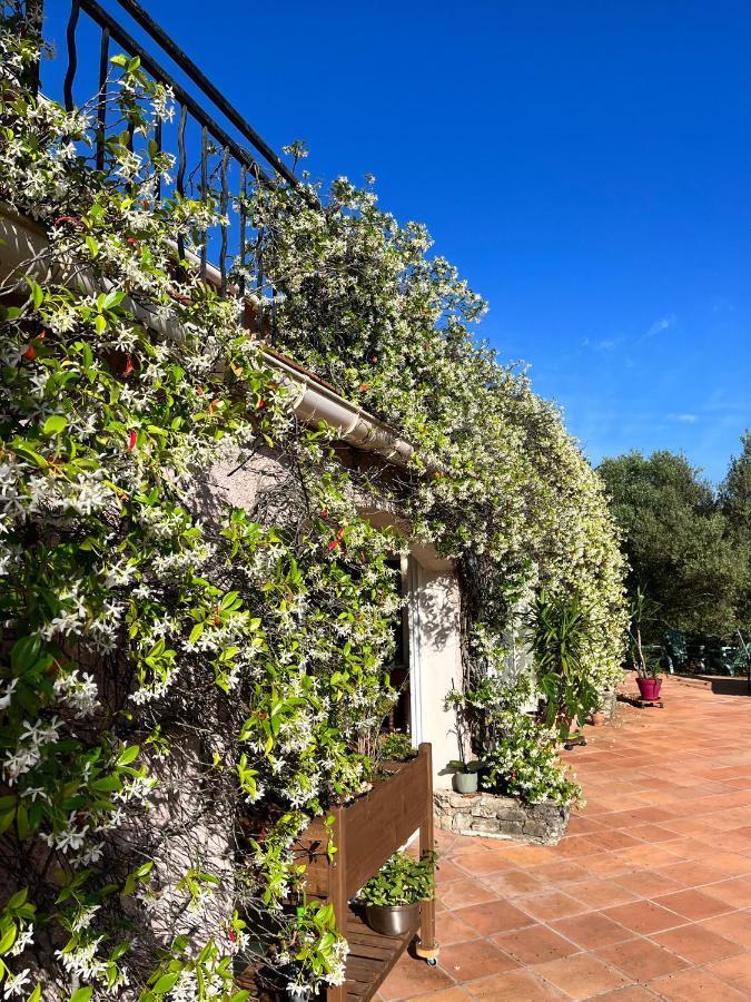 Natur & Jasmin Chambres D'Hotes Naturistes En Provence Lorgues Luaran gambar